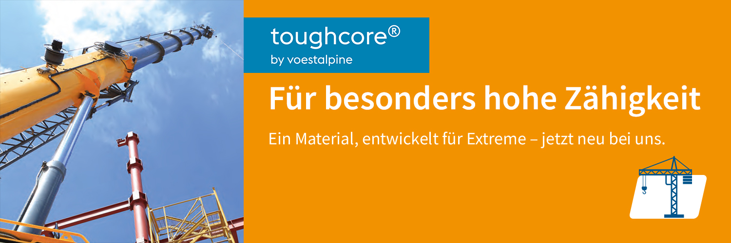 toghtcore-banner-website-v3-kranbau